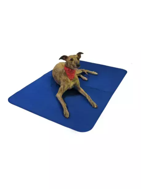 Chladící podložka pro psa Aqua CoolKeeper XXXL Pacific Blue