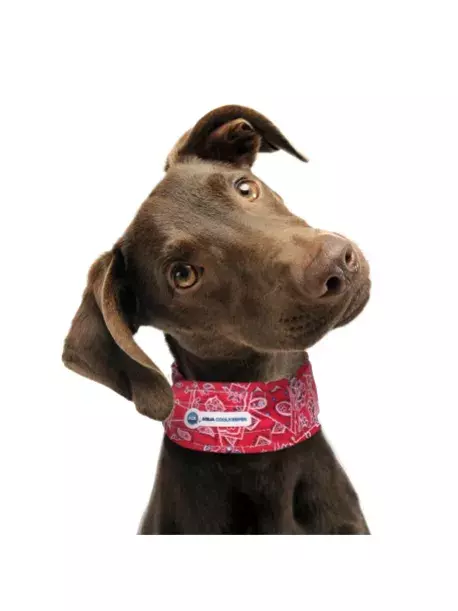 Chladící obojek Aqua CoolKeeper pro pejsky Red Western