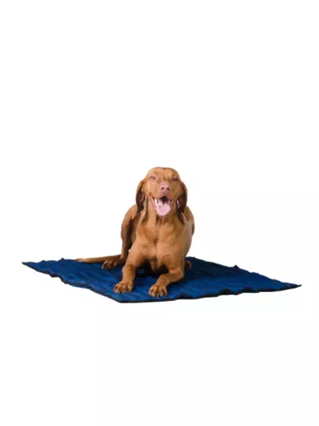 Chladící podložka Aqua CoolKeeper Pacific Blue