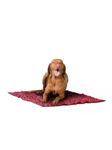 Chladící podložka Aqua CoolKeeper Red Western