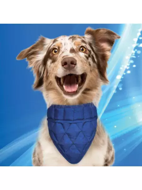 Chladící šátek Aqua CoolKeeper pro pejsky Pacific blue