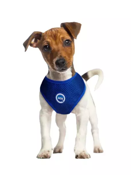 Chladící postroj pro pejsky Aqua CoolKeeper s úchytem pro vodítko