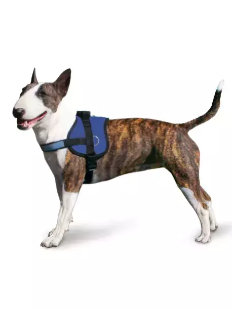 Ergonomický chladící postroj pro pejsky Aqua CoolKeeper Pacific Blue