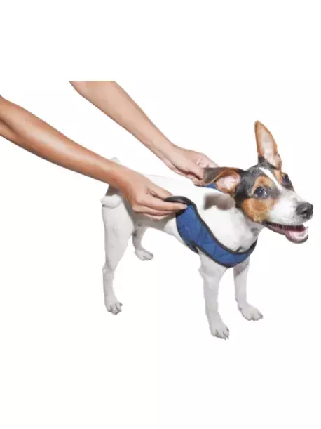 Chladící postroj pro pejsky Aqua CoolKeeper - zapínání