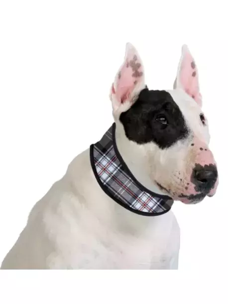 Chladící obojek Aqua CoolKeeper pro pejsky Scottish Grey