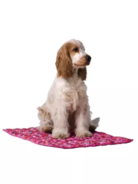 Chladící podložka pro psa Aqua CoolKeeper Roses