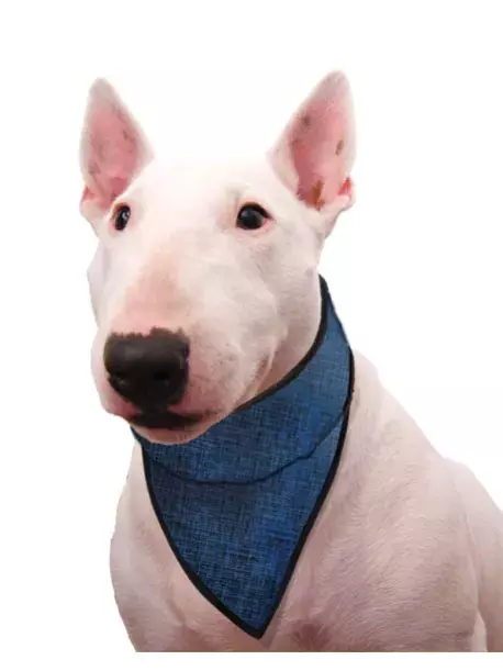 Chladící šátek Aqua CoolKeeper pro pejsky Pacific blue