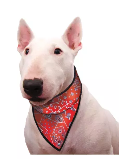 Chladící šátek Aqua CoolKeeper pro pejsky Red Western