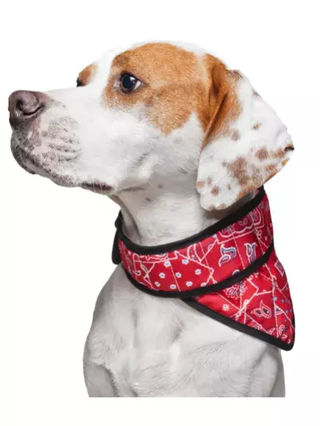 Chladící šátek Aqua CoolKeeper pro pejsky Red Western