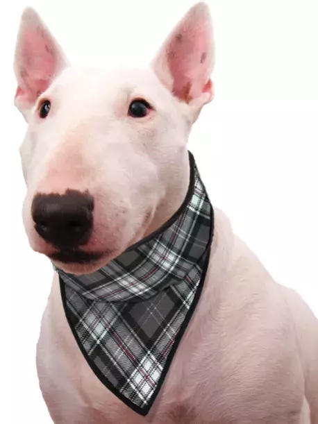 Chladící šátek Aqua CoolKeeper pro pejsky Scottish Grey