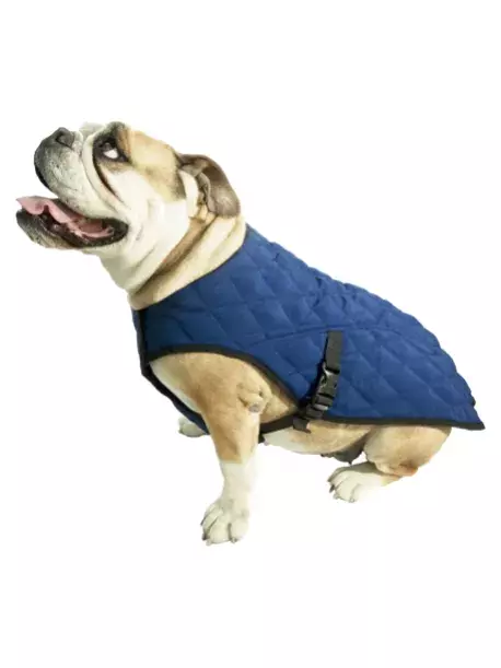 Chladící vesta Aqua CoolKeeper pro pejsky Pacific Blue