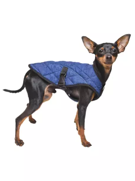 Chladící vesta Aqua CoolKeeper pro pejsky Pacific Blue