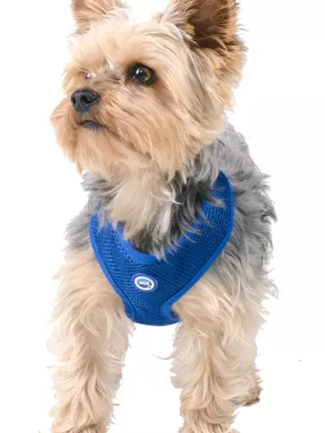 Chladící postroj pro pejsky Aqua CoolKeeper s úchytem pro vodítko