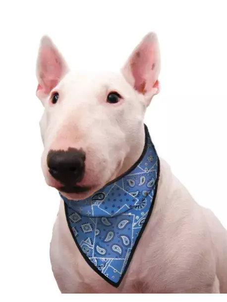 Chladící šátek Aqua CoolKeeper pro pejsky Blue Western