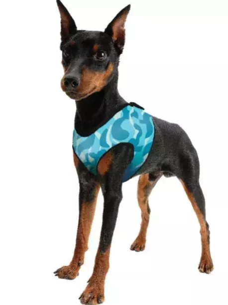 Chladící postroj pro pejsky Aqua CoolKeeper Cool Blue