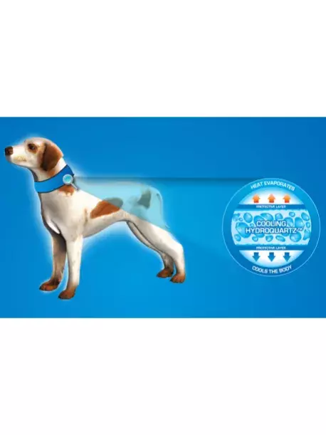 Chladící obojek Aqua CoolKeeper pro pejsky