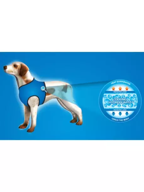 Chladící postroj pro pejsky Aqua CoolKeeper