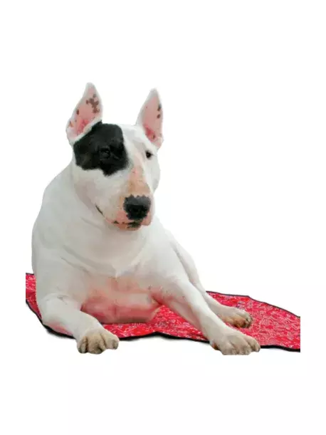 Chladící podložka Aqua CoolKeeper Red Western