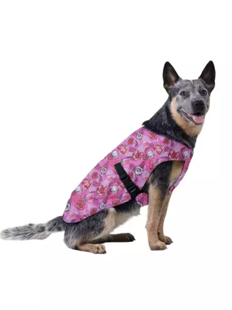 Chladící vesta Aqua CoolKeeper pro pejsky Roses