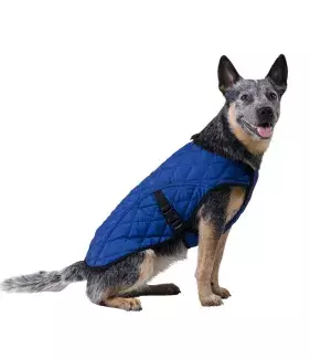 Chladící vesta Aqua CoolKeeper pro pejsky Pacific Blue