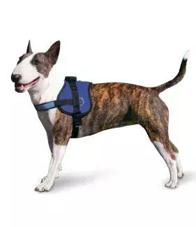 Ergonomický chladící postroj pro pejsky Aqua CoolKeeper Pacific Blue