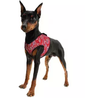 Chladící postroj pro pejsky Aqua CoolKeeper Red Western