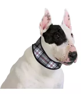 Chladící obojek Aqua CoolKeeper pro pejsky Scottish Grey