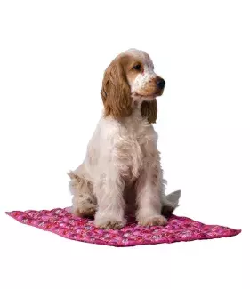 Chladící podložka pro psa Aqua CoolKeeper Roses