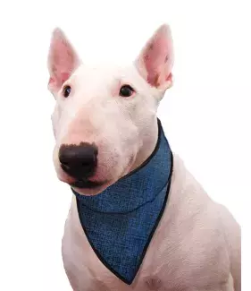 Chladící šátek Aqua CoolKeeper pro pejsky Pacific blue