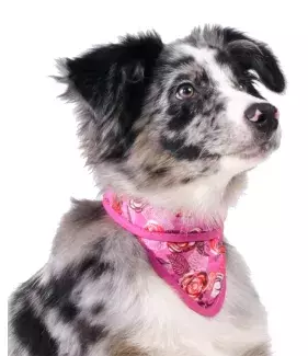 Chladící šátek Aqua CoolKeeper pro pejsky Roses