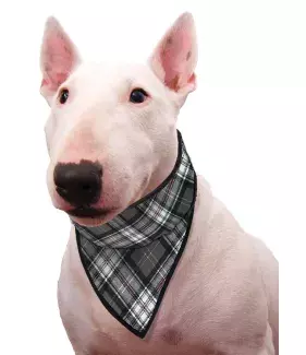 Chladící šátek Aqua CoolKeeper pro pejsky Scottish Grey