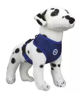 Chladící postroj pro pejsky Aqua CoolKeeper s úchytem pro vodítko