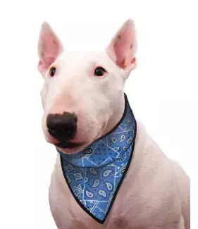 Chladící šátek Aqua CoolKeeper pro pejsky Blue Western