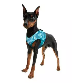 Chladící postroj pro pejsky Aqua CoolKeeper Cool Blue