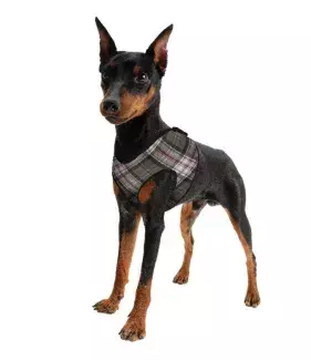 Chladící postroj pro pejsky Aqua CoolKeeper Scottish Grey