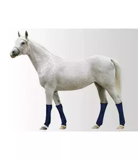 Chladící bandáž na nohy Aqua CoolKeeper Pacific Blue 