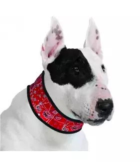 Chladící obojek Aqua CoolKeeper pro pejsky Red Western